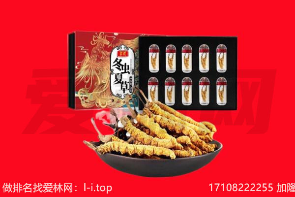 上海卢湾区回收虫草.jpg